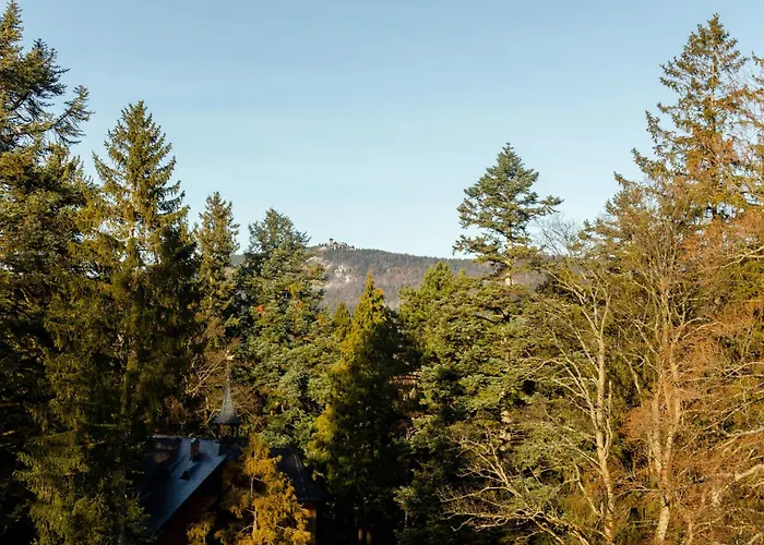 Apartment Rentplanet - Kilińskiego *