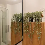 Rentplanet - Kilinskiego * 斯克拉斯卡波伦巴
