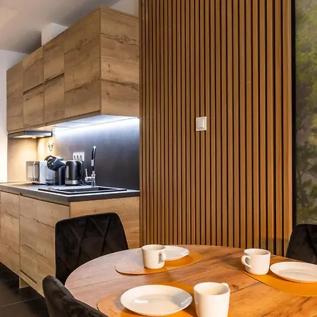 Rentplanet - Kilinskiego Daire *