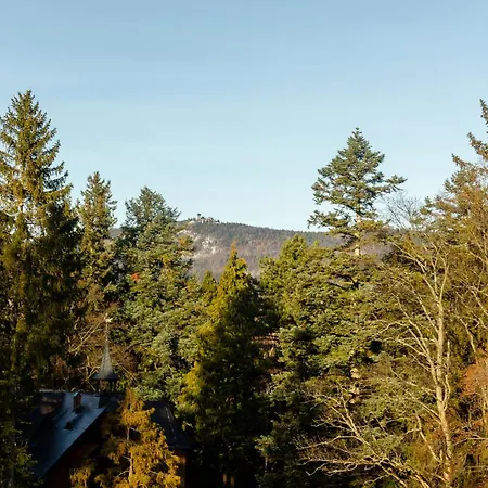 Apartman Rentplanet - Kilinskiego *